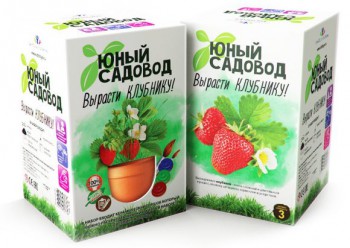 Юный садовод. Вырасти клубнику